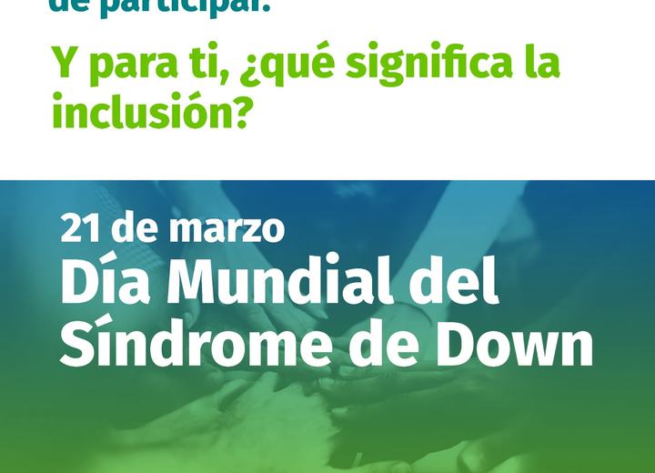 Aviso Día Mundial del Síndrome de Down, avisos de prensa, trabajo de diseño de Alejandro Poblete Cea