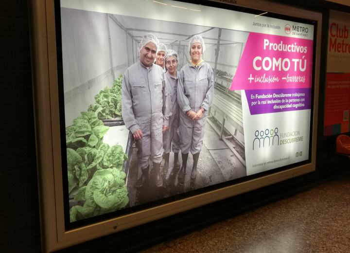 Campaña Productivos como tú, vía pública, trabajo de diseño de Alejandro Poblete Cea